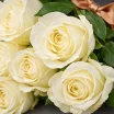Высокие белые розы (70 см) 2